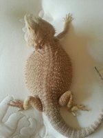2013061295192837.jpg