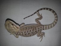 20130808_150211.jpg