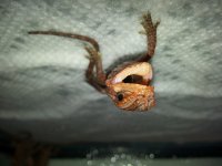 20130531_153754.jpg
