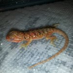 IMG_20130518_110514.jpg