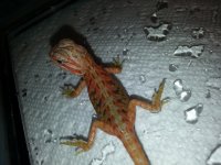 20130524_200742.jpg