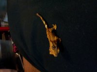 20130822_102205.jpg 20130822_102205.jpg