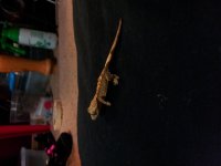 20130822_103413.jpg 20130822_103413.jpg