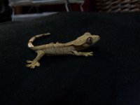 20130822_111145.jpg 20130822_111145.jpg