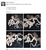 LuisMattress.jpg