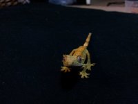 20130822_102955.jpg 20130822_102955.jpg