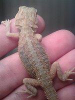20130702_125916.jpg
