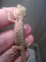 20130702_125928.jpg