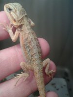 20130702_125655.jpg