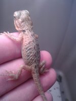 20130702_130205.jpg