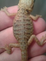 20130702_130032.jpg