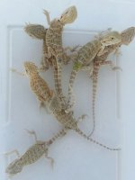20130625_134408.jpg