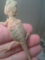 20130702_125752.jpg