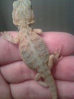 20130702_125742.jpg