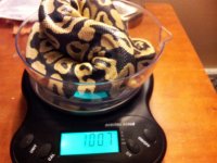 20130526_012728.jpg