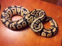 20130526_012657.jpg