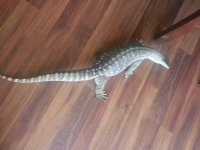 20130524_151355_resized.jpg