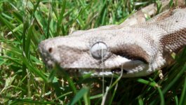 106_9044.jpg