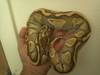 IMG_20130602_103158.jpg