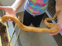 IMG_0221.jpg