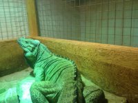 IMG_0361.jpg