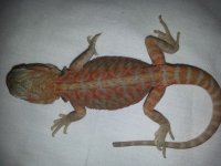 20130822_133759.jpg
