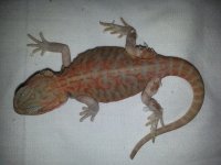 20130822_134843.jpg
