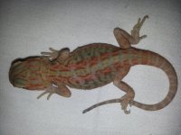 20130822_141110.jpg