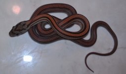 IMAG0165.jpg