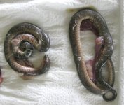 Neonates dead with umbiliculs.jpg