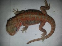 20130822_135501.jpg