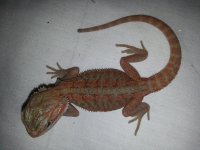20130822_140105.jpg