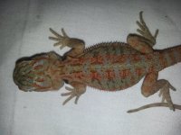20130822_141456.jpg