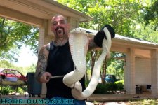 albino monocled 1.jpg