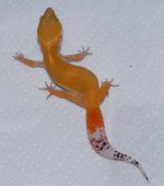 DSC_0204.jpg