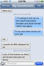 IMG_3340.PNG