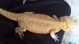 2012-03-29_16-07-53_503.jpg