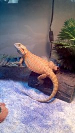 2012-04-02_15-14-17_362.jpg