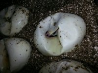 20130629_204419.jpg