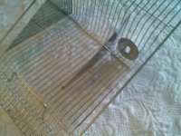 CAM01075.jpg