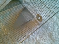 CAM01078.jpg