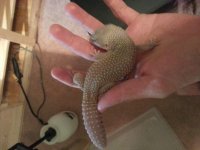 20130628_150426.jpg