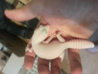 20130702_200857.jpg