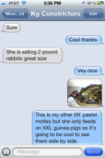 IMG_3356.PNG