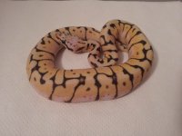 20130713_223728.jpg