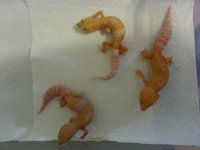 20130626_101239.jpg