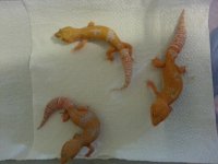 20130626_101240.jpg