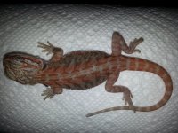 20130708_105044.jpg