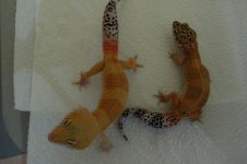 20130626_101649.jpg