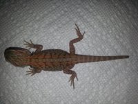 20130626_121234.jpg